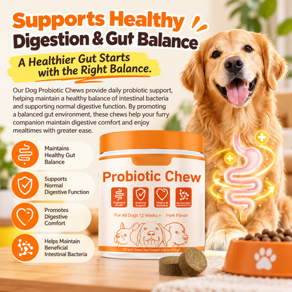 Dog Probiotic Chews – Daily Digestive, Gut & Immune Support
