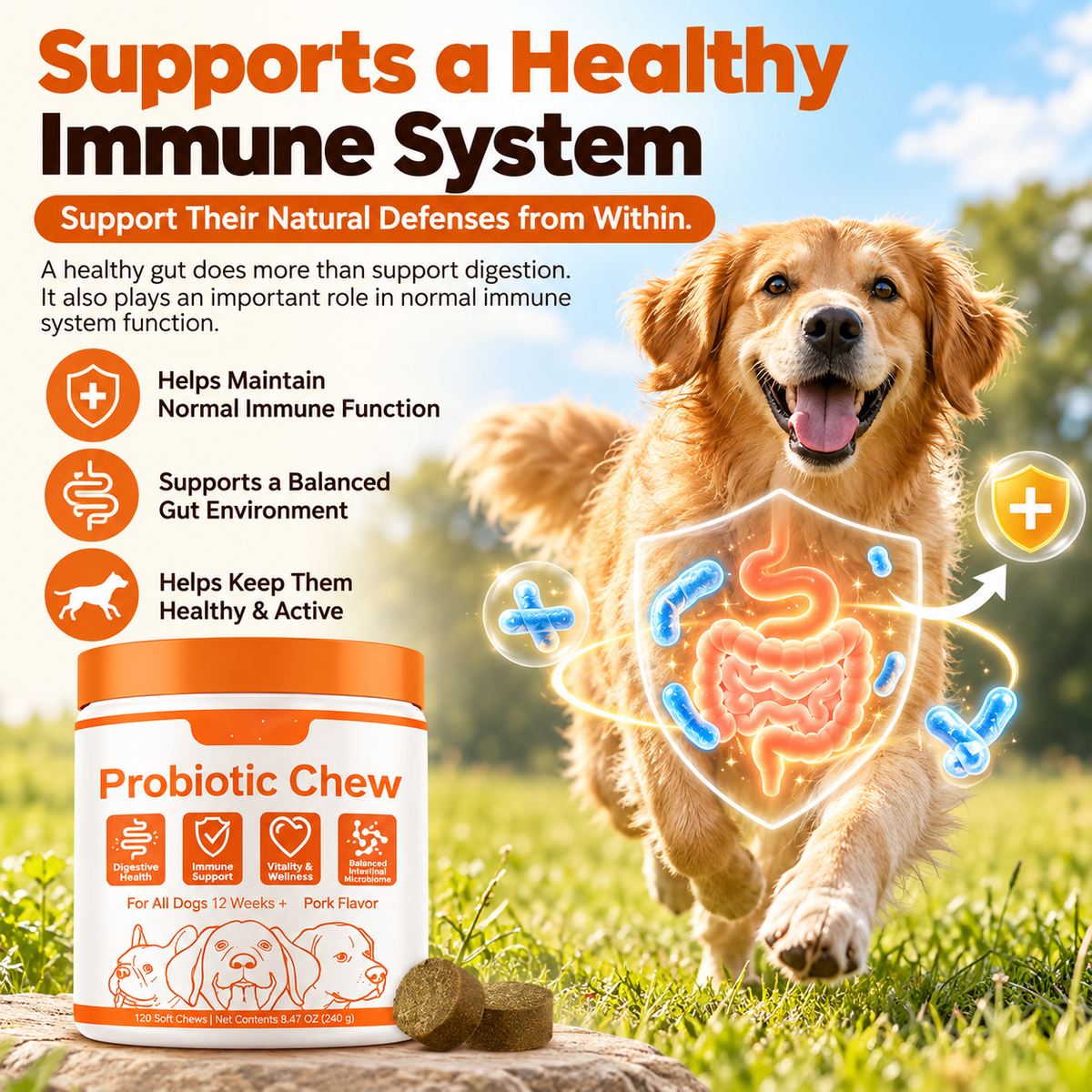 Dog Probiotic Chews – Daily Digestive, Gut & Immune Support