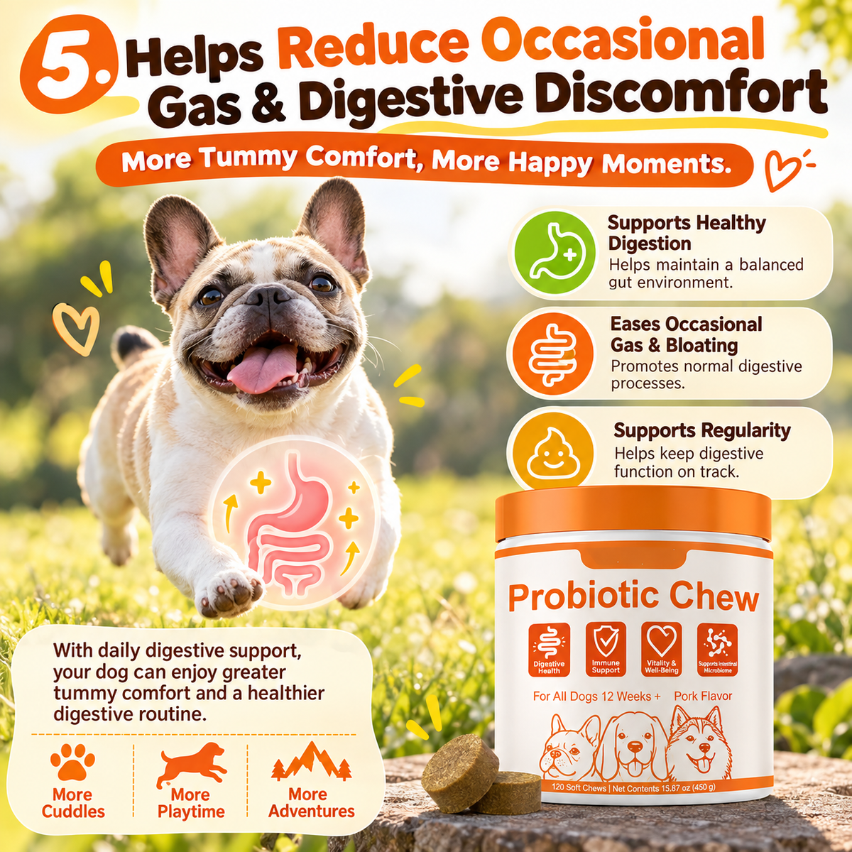 Dog Probiotic Chews – Daily Digestive, Gut & Immune Support