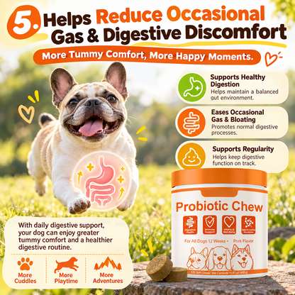 Dog Probiotic Chews – Daily Digestive, Gut & Immune Support